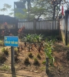 Đoàn thanh niên ra quân dọn vệ sinh & chăm sóc vườn cây thuốc Nam tại sân trường tiểu học Hòa Khương